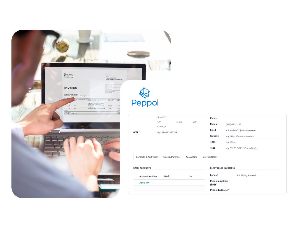E‑Invoicing & Digital Document Integration for French businesses