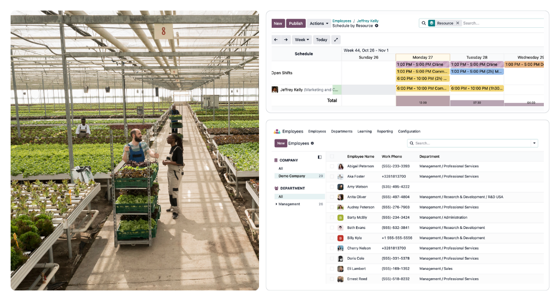 Odoo HR features for agriculture business