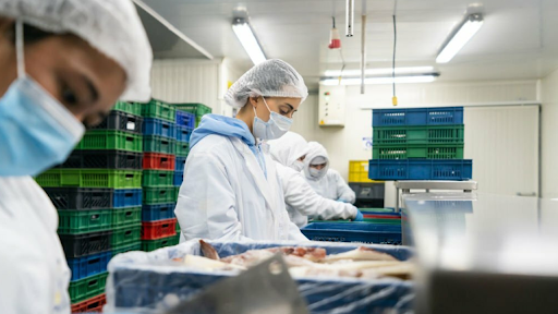 Odoo Case Studies - Aneka Tuna